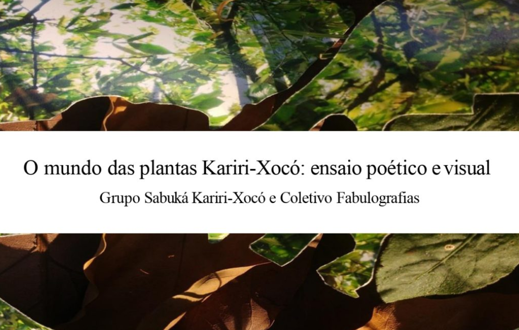 Mundos das Planta Kariri-Xocó
